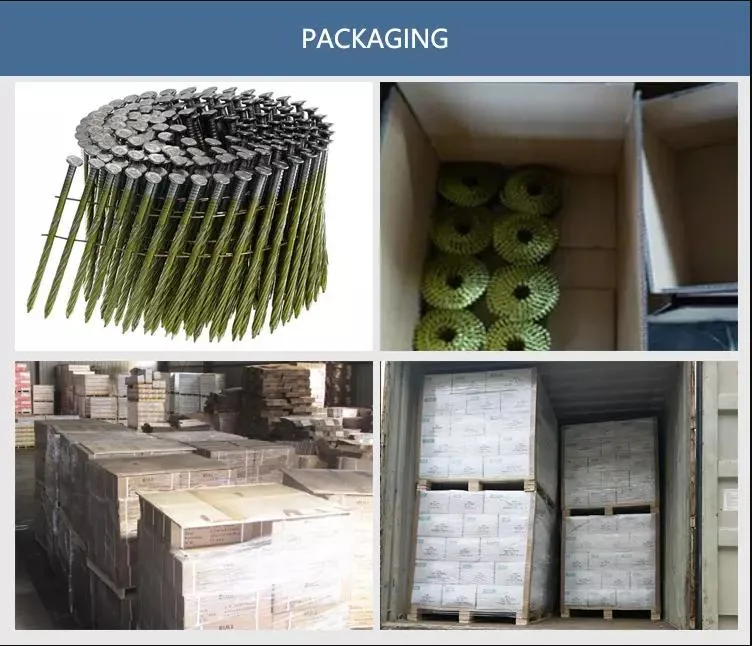 3000 PCS Per Roll Pallet Jumbo High Load Jumbo Coil Nails for Automatic Pallet Machine 2-1/4&prime;&prime;x0.099&prime;&prime; (2.5X57mm)