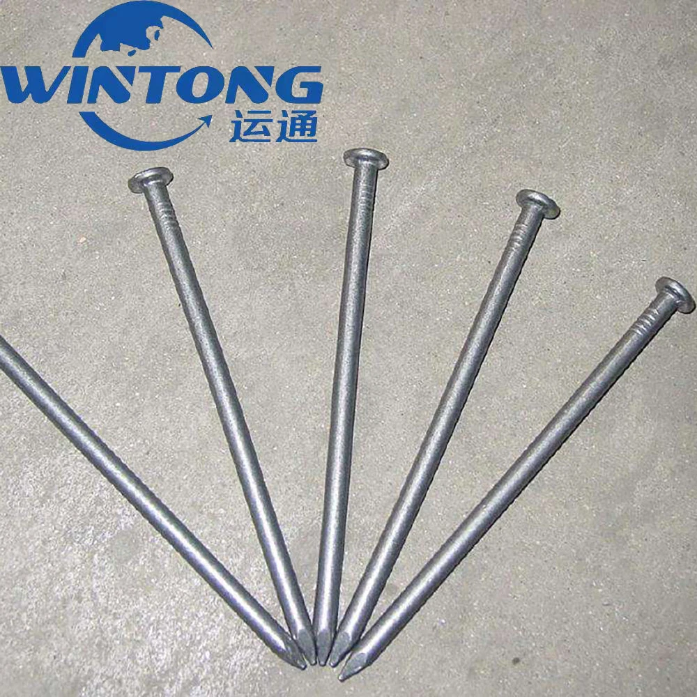 Headless Iron Nail/Round Steel Nail/Big Head Nail/Common Polished Round Nail