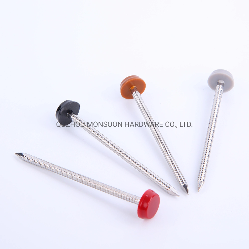 Colored Plastic Top Fascia Stainless Steel Annular Ring Polytop Pins&Nails