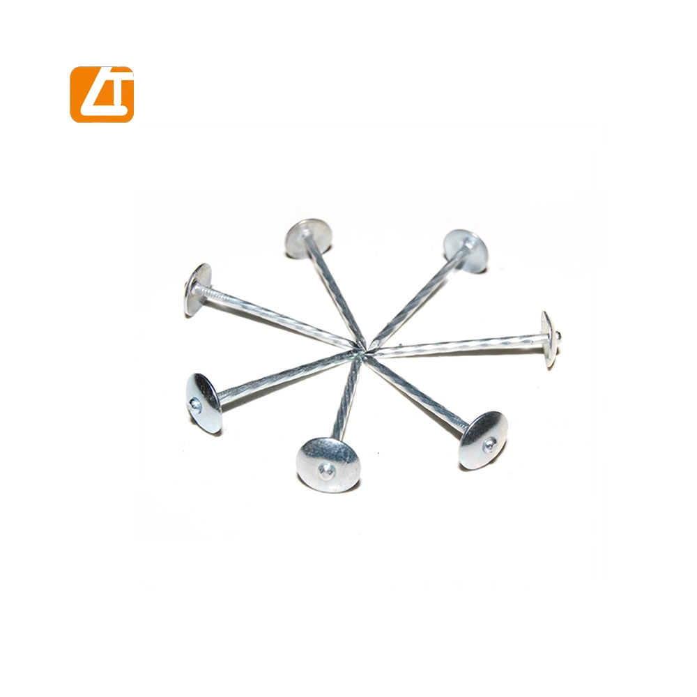 Umbrella Head Roofing Wire Nails Twisted Shank