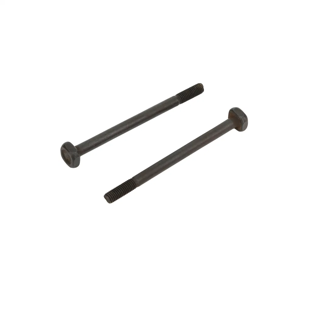 Serration Screw/ Torx Screw /Garden Machinery Screw Nyloc Screw