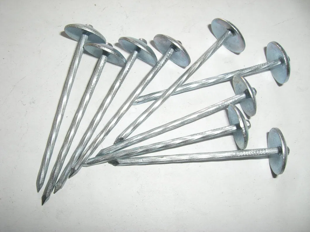 Direct Manufacturer Galvanized Umbrella Head Roofing Nail