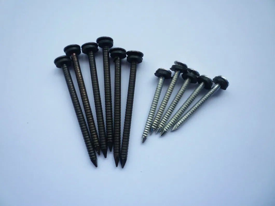 Black/Polished/Zinc Plated Ring Shank Nails