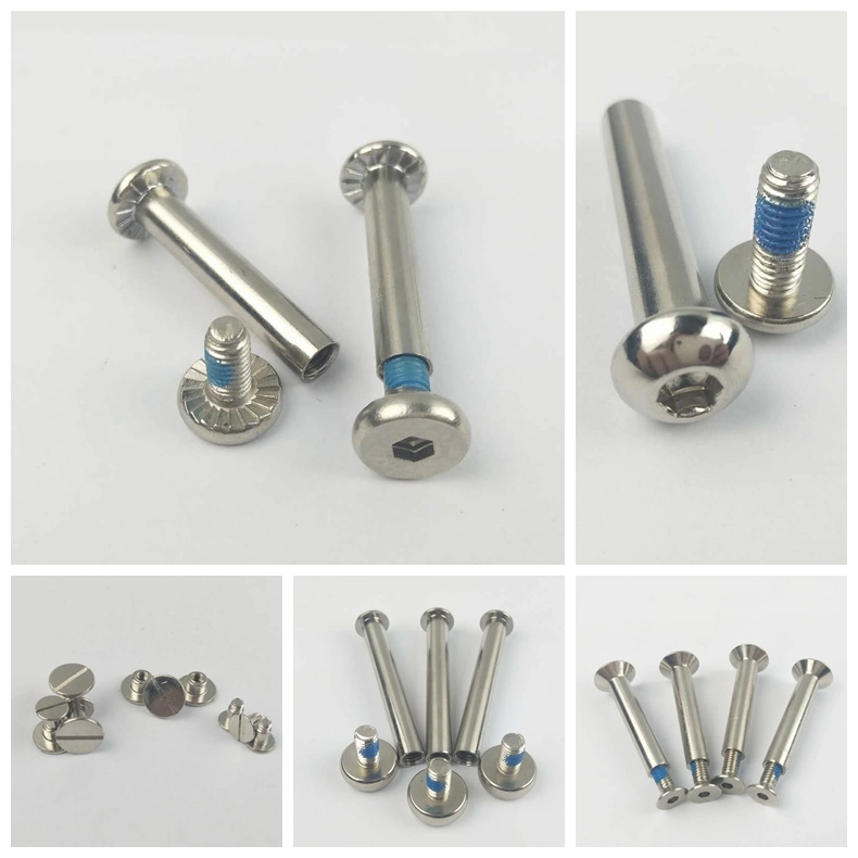 Special Flat Hex Socket Head Male and Female Chicago Screws with Serration