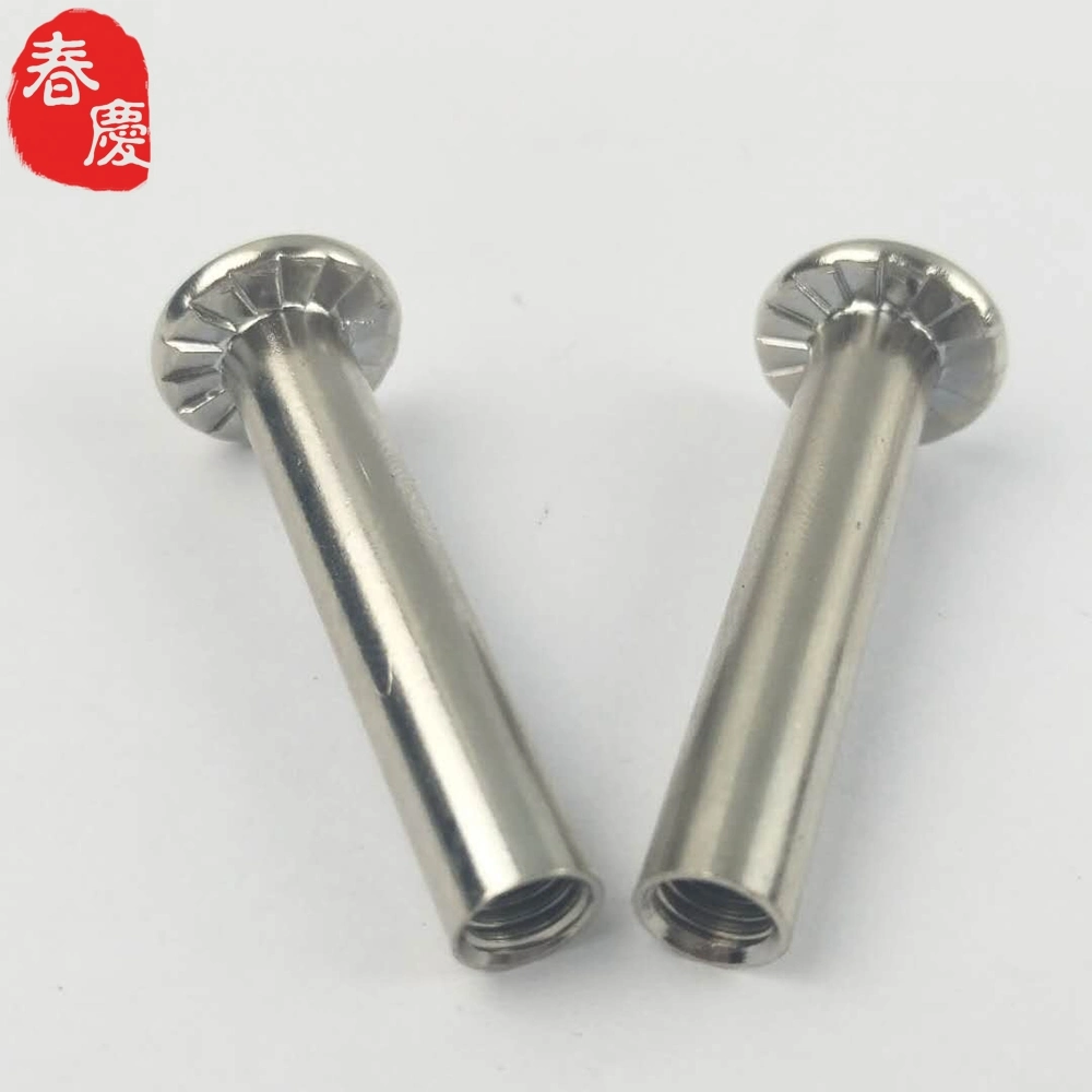 Special Flat Hex Socket Head Male and Female Chicago Screws with Serration