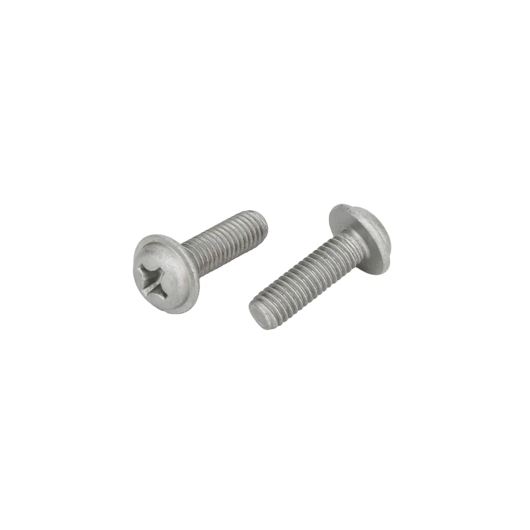 Serration Screw/ Torx Screw /Garden Machinery Screw Nyloc Screw