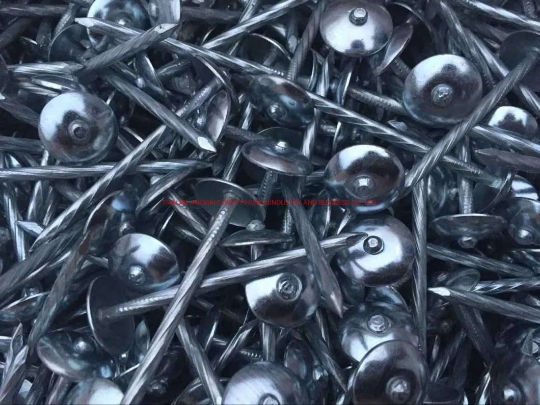 Twist Umbrella Roofing Nails /Roofing Nails with Washer2&quot; 2.5&quot; 3&quot; 9g