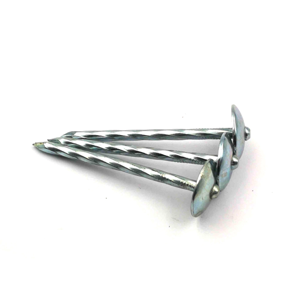 Zinc Coated Umbrella Head China Roofing Nails for Africa Market