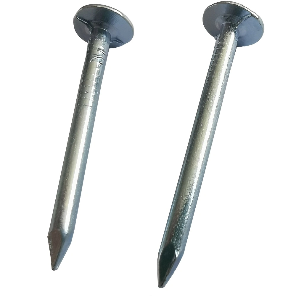 Customized Clout Nail Q195 Metarial for Building with Reasonable Price