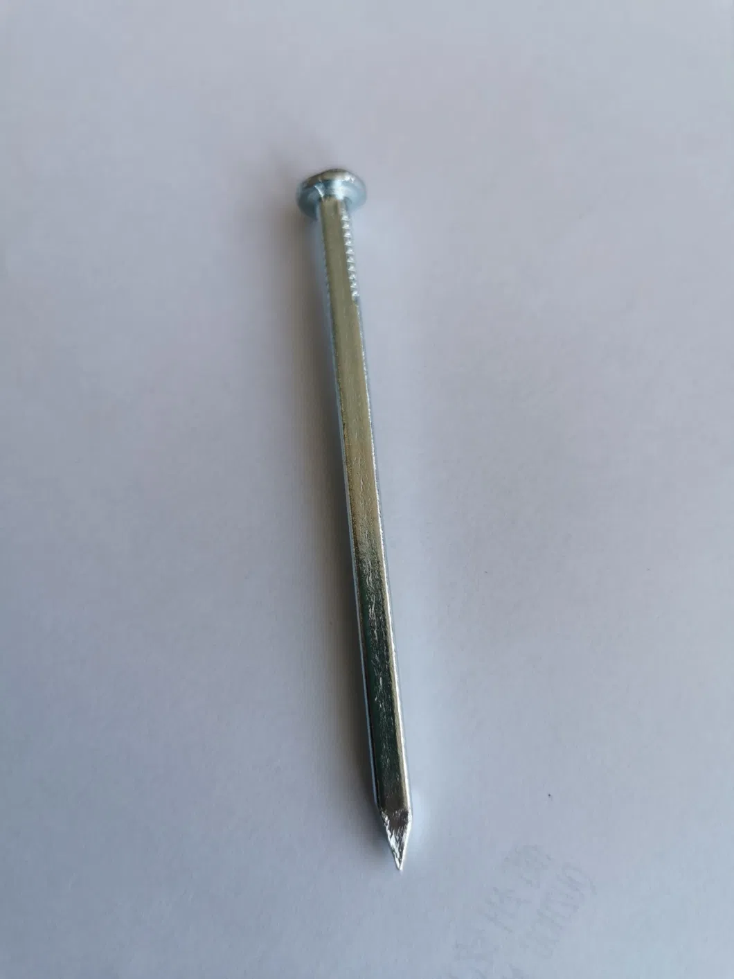 Flat Head Square Shank Nails