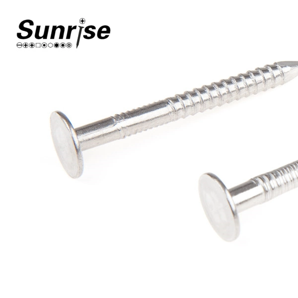 Ring Shank Clout Nails Screw