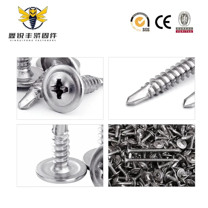 Phillips Drive Wafer Head Self Drilling Screw for Metal