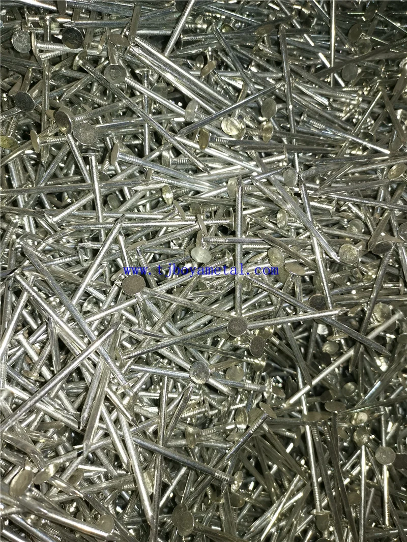 China Electrical Galvanized Large Head Flat Clout Nail for Construction