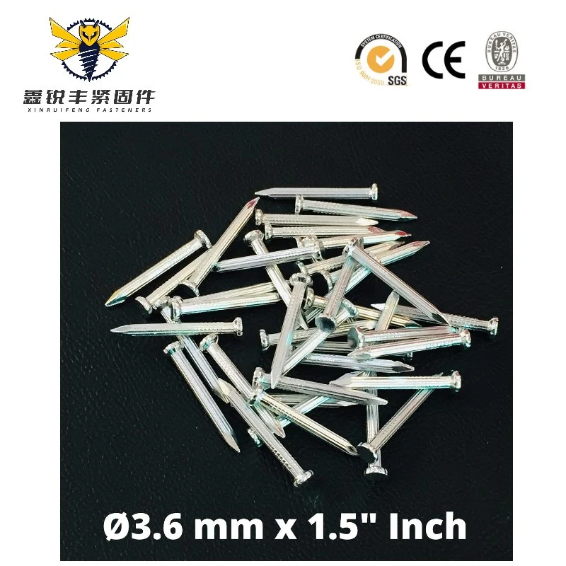 Factory Wholesale 1&quot;-4&quot; Galvanized Black White Concrete Roofing Shoe Tack Common Nails for Africa Nigeria