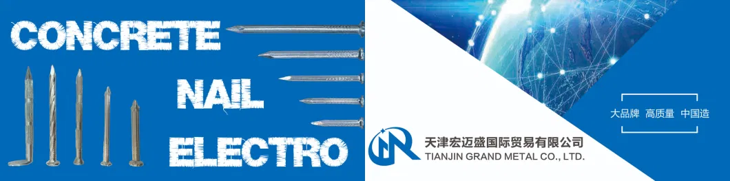 Galvanized Flat Head Iron Steel Concrete Nails with Twisted Shank for Building