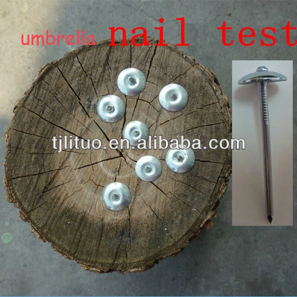 Umbrella Head Galvanized Twisted/Plain Shank Roofing Nails