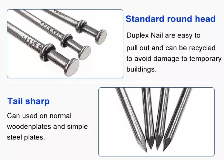 2-1/2 Inch 20d Galvanized Iron Duplex Head Nails Sharp Diamond Point