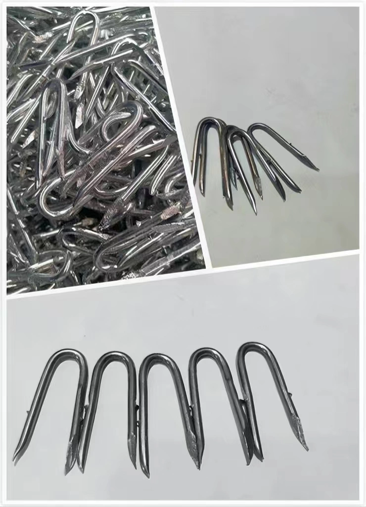 Factory Direct Supply 30mm-50mm Heavy Zinc Coating HDG Staples U Type Nails