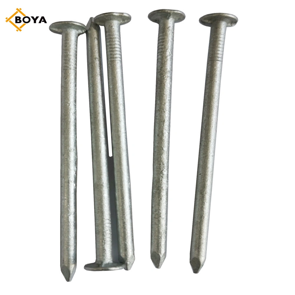 Hot Dipped Galvanized Wood Construction Common Iron Nail