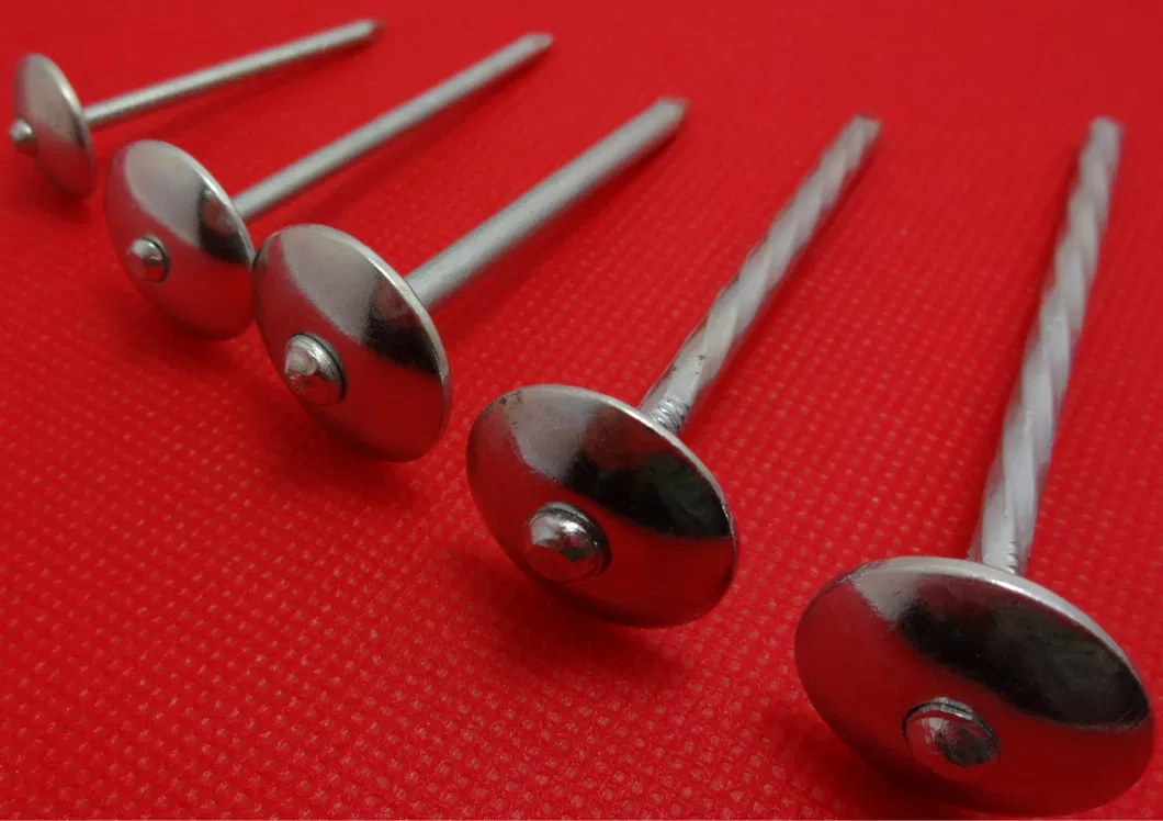 Iron Concrete Stainless Steel Nail China Steel Brad Umbrella Head Roofing Nails Manufacturing