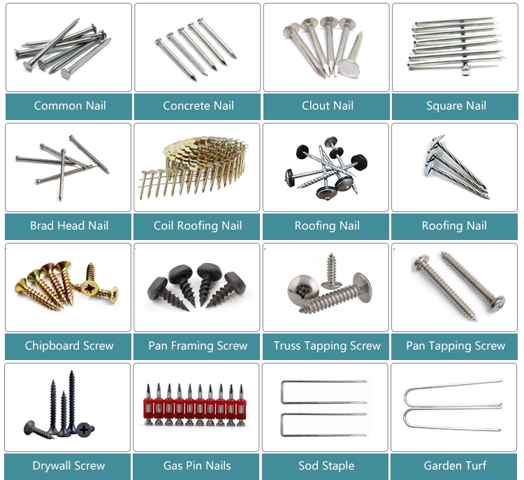 Black/Gray Phosphated Drywall Screws for Gypsum Board