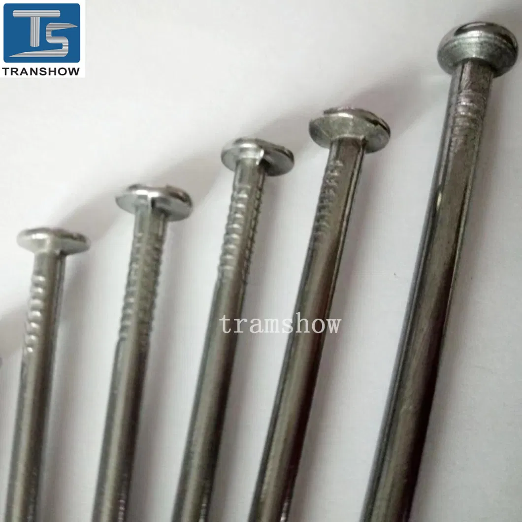 Galvanized Steel Smooth Shank Common Nails