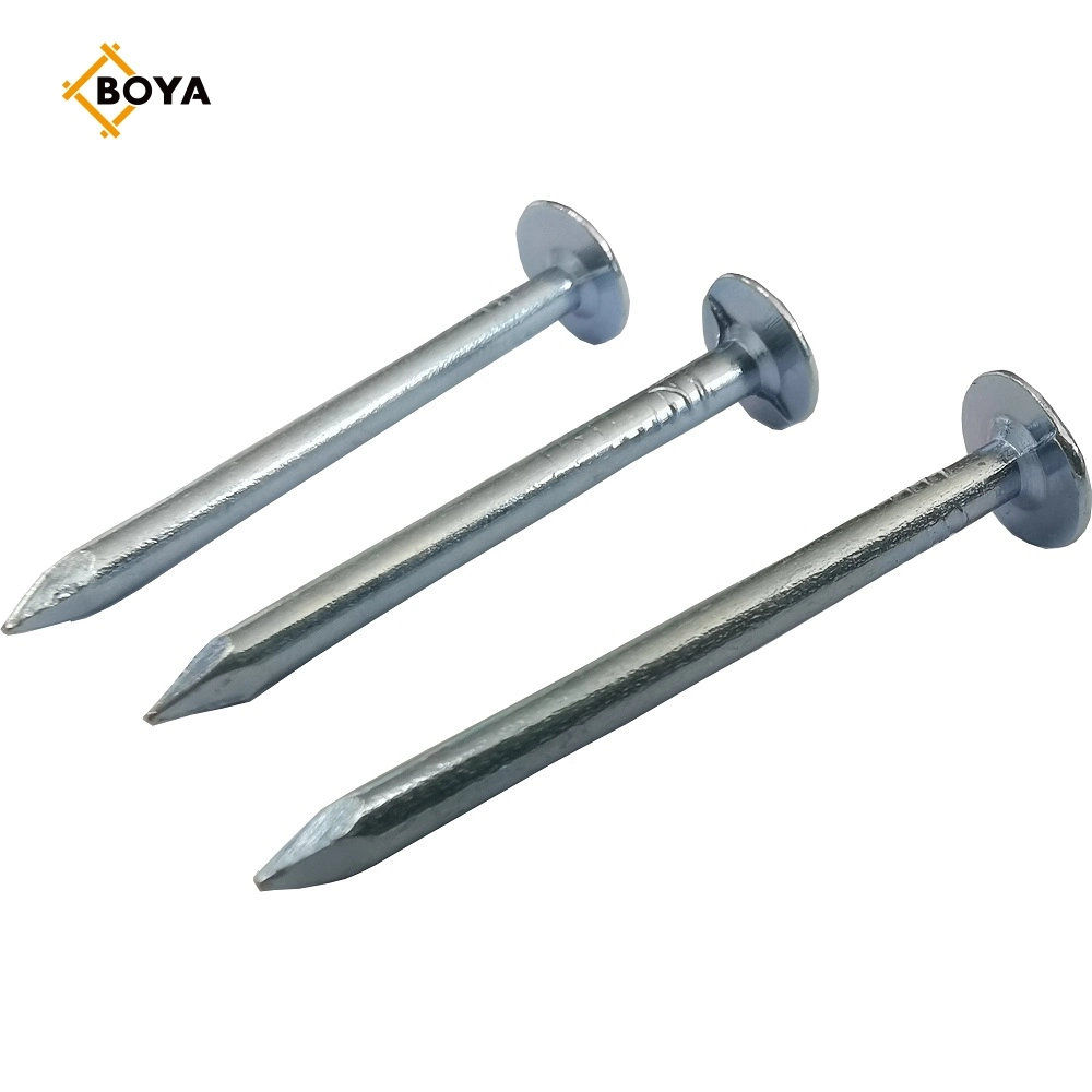 Customized Clout Nail Q195 Metarial for Building with Reasonable Price