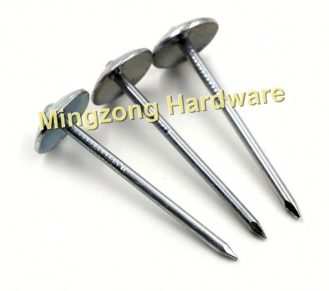 Umbrella Head Roofing Concrete Common Nails for Galvanized Smooth / Twisted Shank 1&quot; /2&quot;/2.5&quot;/3&quot; 8-12bwg 3.125kg / Box