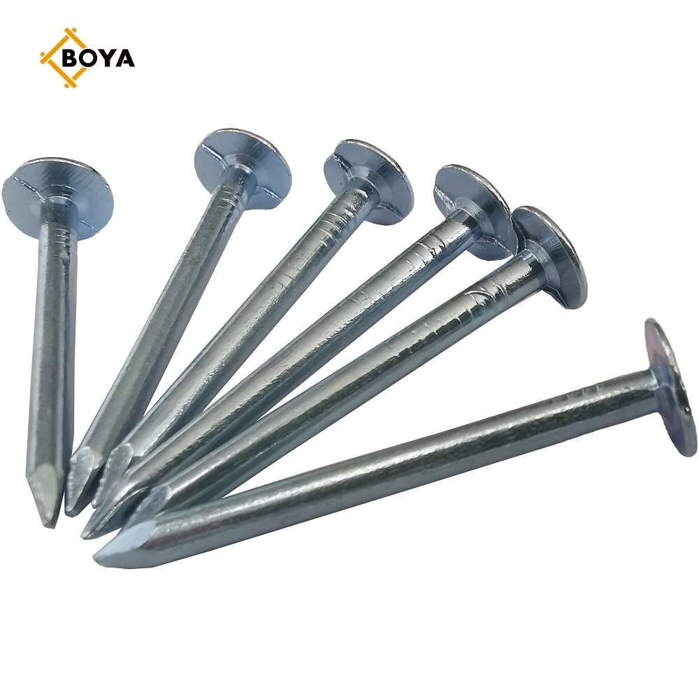 High Quality Hot Dipped Galvanized Clout Nail with Different Size