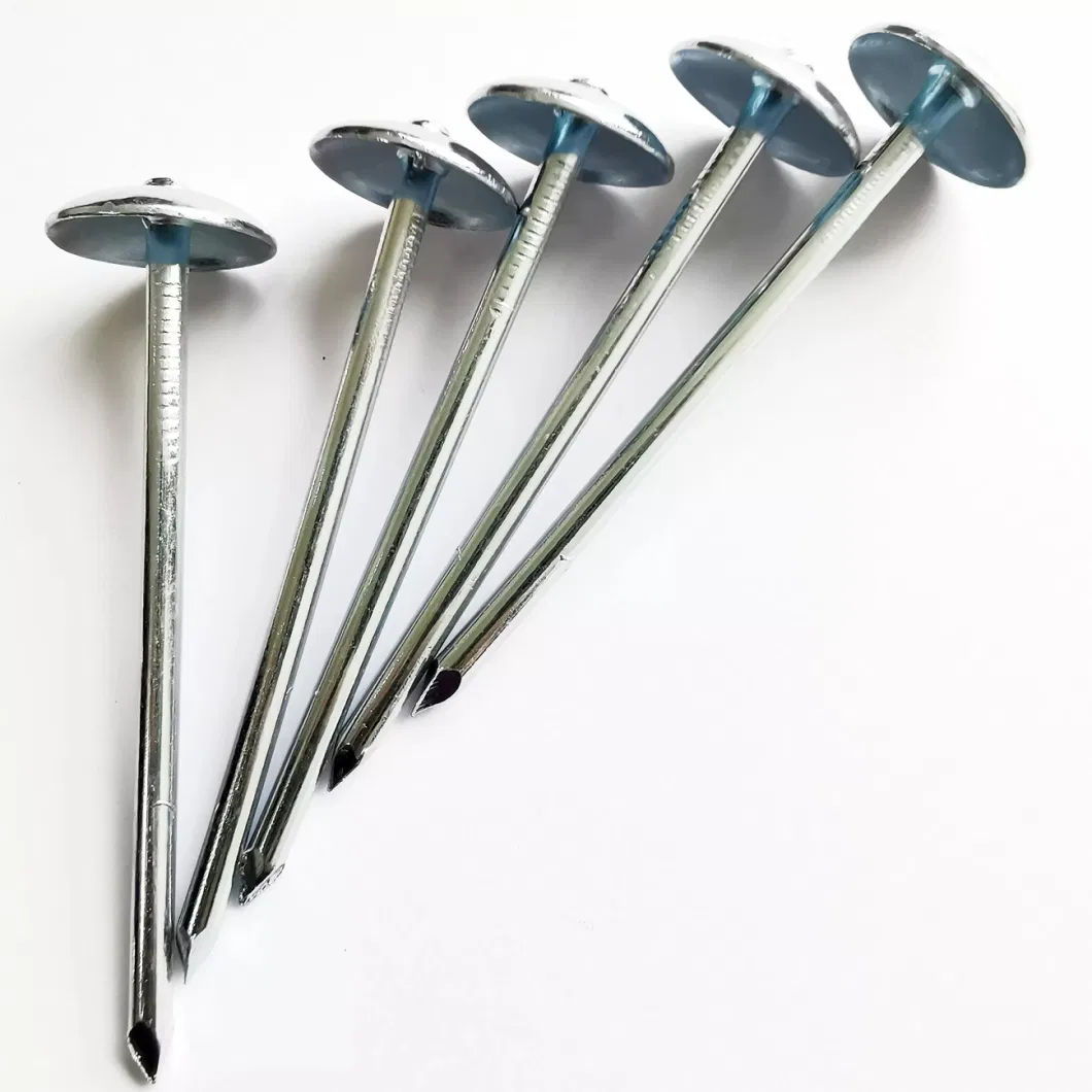 Bwg9X3&prime;&prime; Ring Shank Colored Umbrella Head Galvanized Roofing Iron Nail with Washer