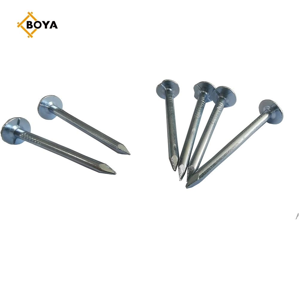 High Quality Hot Dipped Galvanized Clout Nail with Different Size