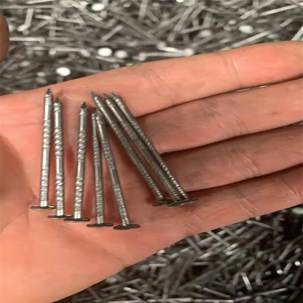 Waterproof Roof/Electric Galvanized/Round Head/Ring Diamond Tip/Linoleum Nails