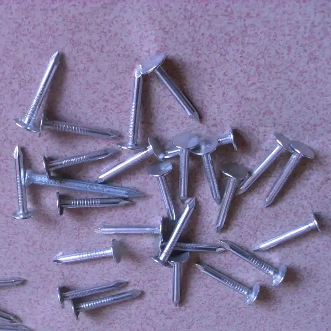 Waterproof Roof/Electric Galvanized/Round Head/Ring Diamond Tip/Linoleum Nails