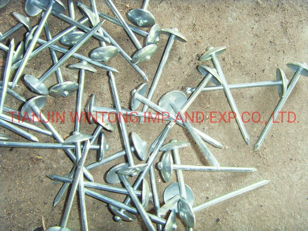 Wholesale Galvanized Smooth/Twisted Shank Q195 Galvanized Roofing Nails