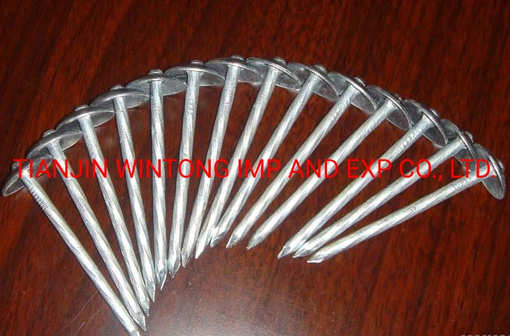 Wholesale Galvanized Smooth/Twisted Shank Q195 Galvanized Roofing Nails