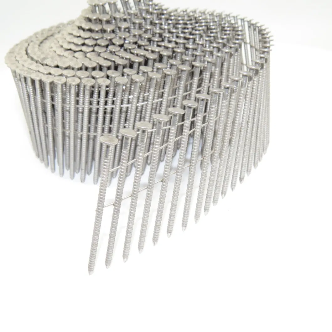 Full Round Head Wire Collated Coil Stainless Steel Nails