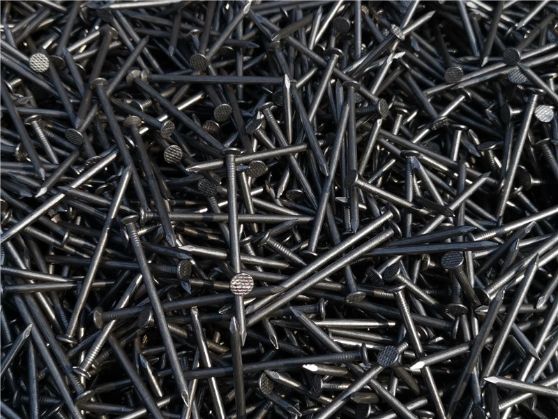 Good Quality Steel Wire Iron Wood Nails Clavos Pregos Manufacturer in China