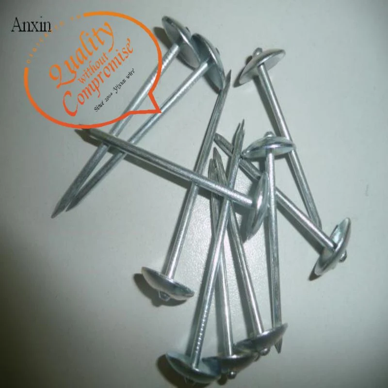 Twisted Shank Umbrella Head Galvanized Roofing Nails