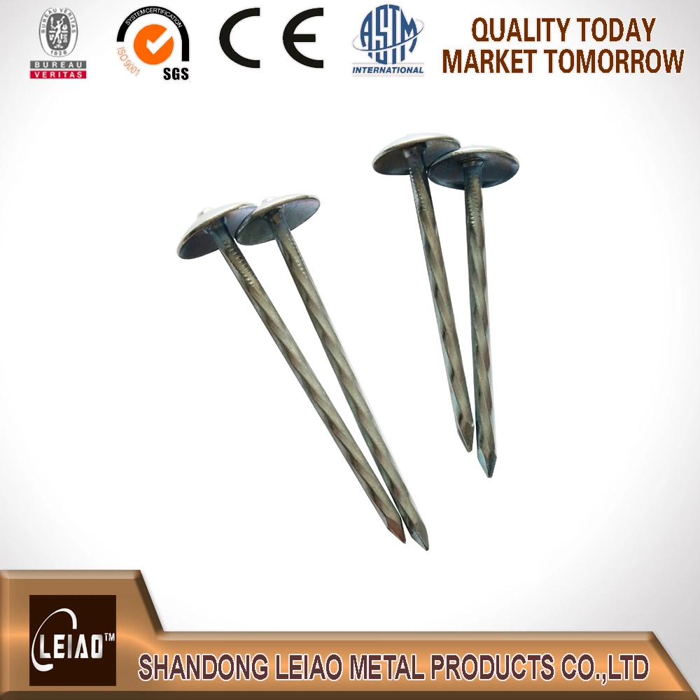 Smooth Shank Umbrella Head Roofing Nails