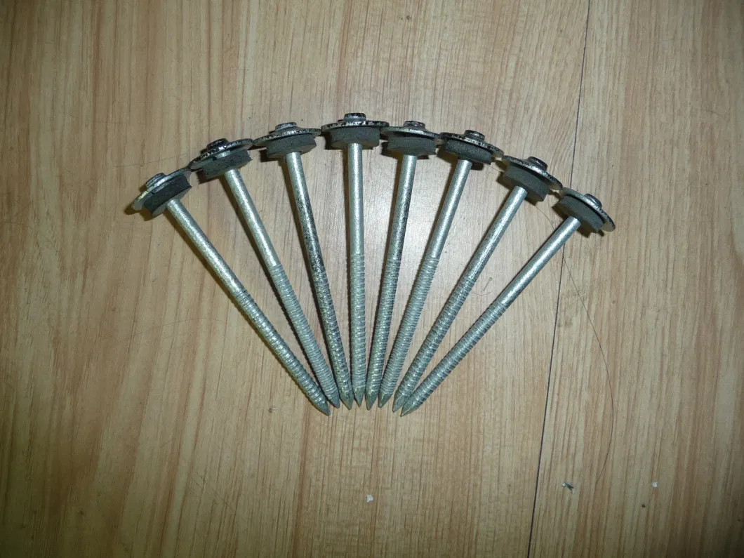 Twisted Shank Umbrella Head Galvanized Roofing Nails