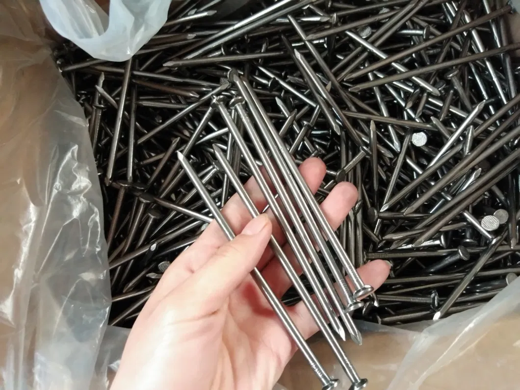 Polished Common Nail Iron Nail for Construction