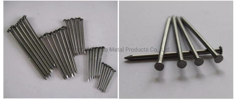 Hot Dipped Galvanized Flat Head Common Nails Iron Large Electro Galvanized Iron Spike Wire Steel Nails