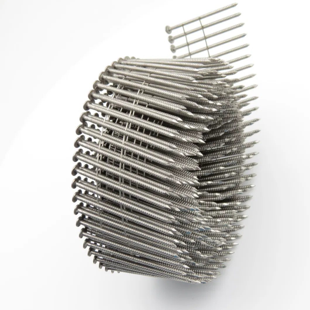 Full Round Head Wire Collated Coil Stainless Steel Nails