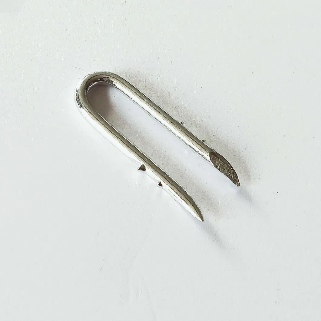 3.8X32mm Smooth Shank U Type Nails with Cut Point