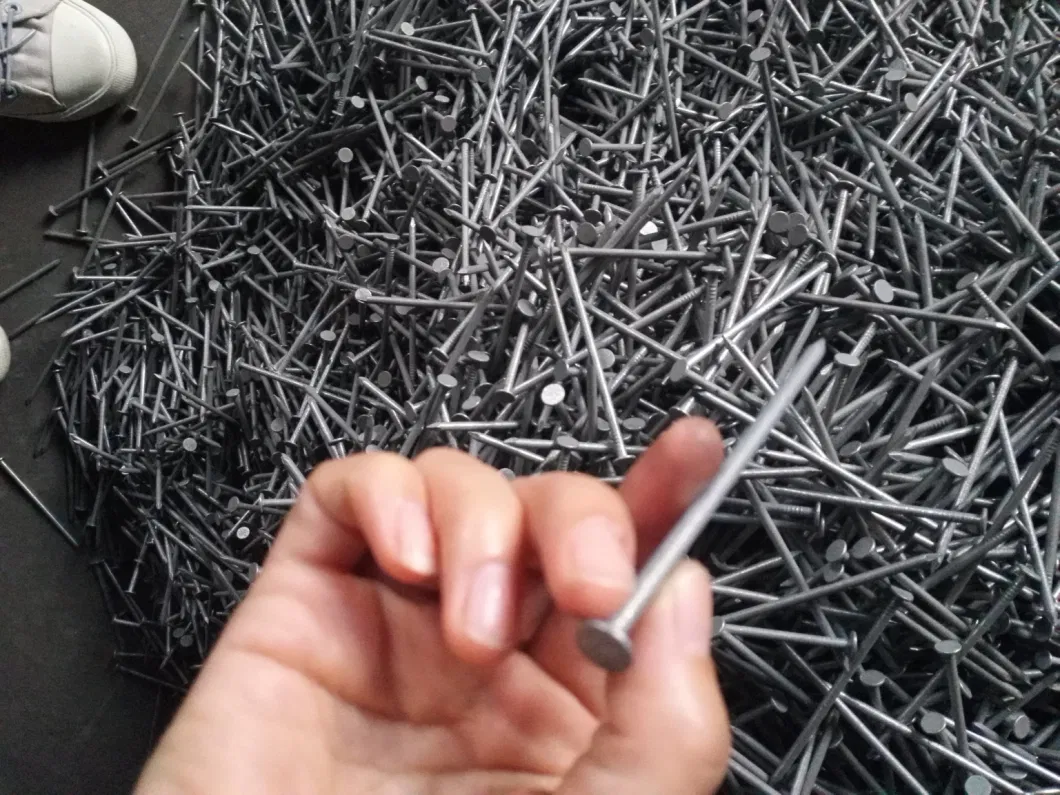 Hot Sale Round Head Common Nail for Construction