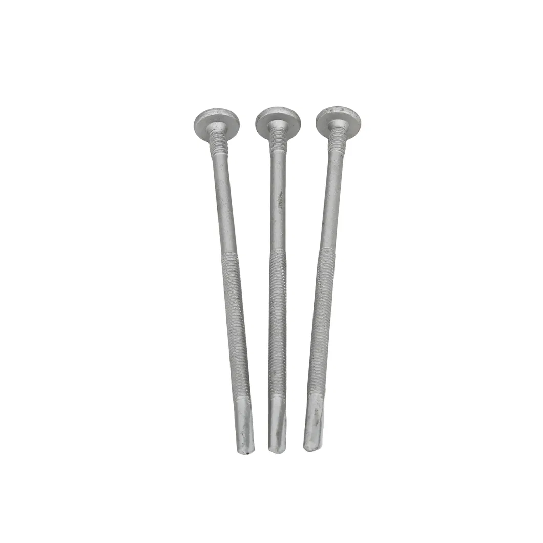 Serration Screw/ Torx Screw /Garden Machinery Screw Nyloc Screw