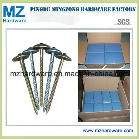 Flat Large Head Twisted Shank Roofing Nail for South America