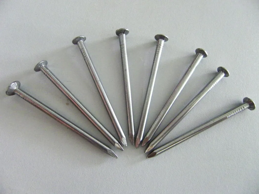 Hot Sale Round Head Common Nail for Construction