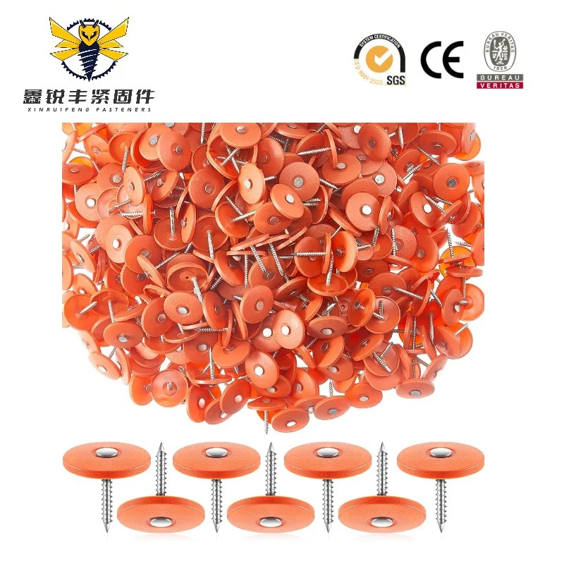 Factory Price Plastic Cap Roofing Nail with Ring Shank Nails