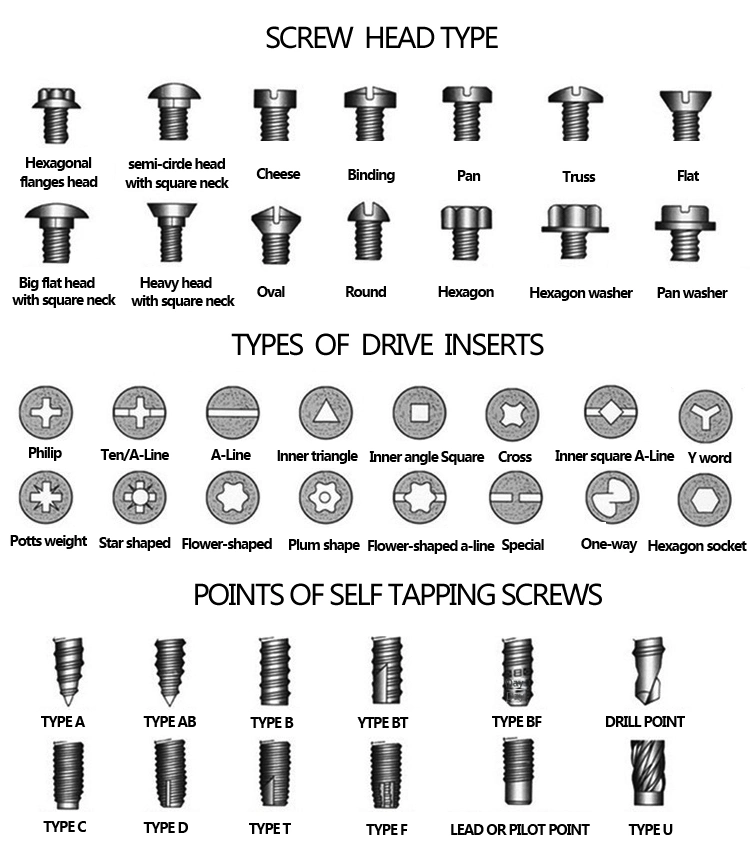 Carbon Steel Grade 4.8 8.8 10.9 12.9 Black Zinc Coated Phillips Pan Head Cylindrical Head Self-Drilling Screws DIN7504